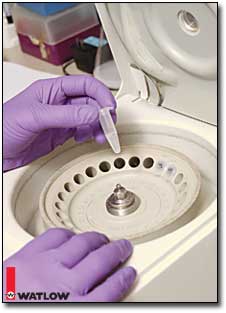 Laboratory and Sterilization Equipment